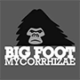 Big Foot Mycorrhizae
