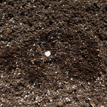 Garden Blend Soil Detail