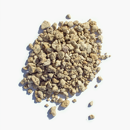 Pumice