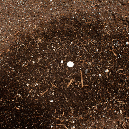 Basic Blend Soil