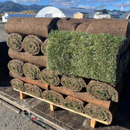 Sod For Sale - Medford