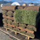 Sod For Sale - Medford