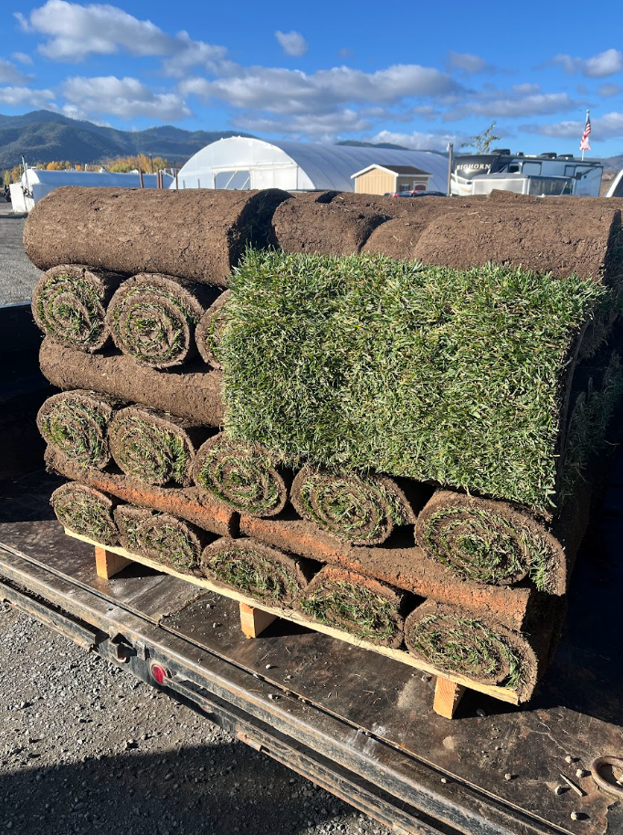 Sod For Sale - Medford